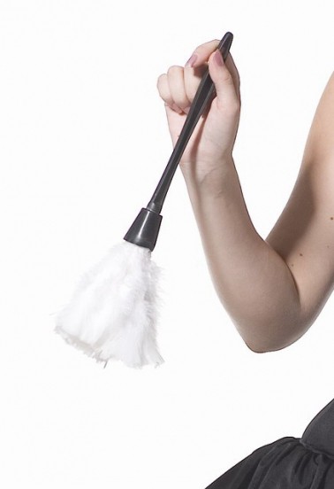Accesorio de plumas blancas